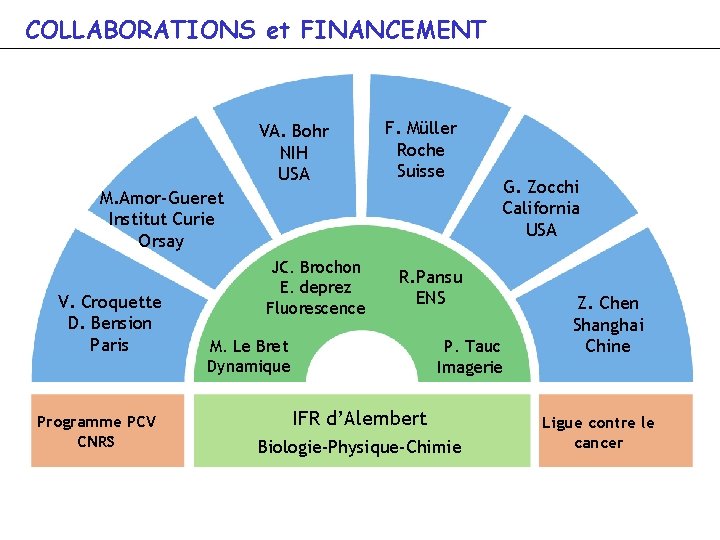 COLLABORATIONS et FINANCEMENT VA. Bohr NIH USA F. Müller Roche Suisse M. Amor-Gueret Institut