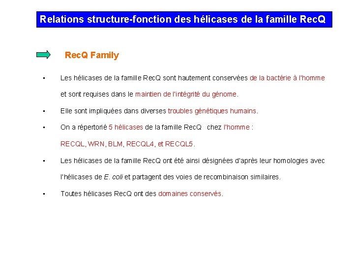 Relations structure-fonction des hélicases de la famille Rec. Q Family • Les hélicases de