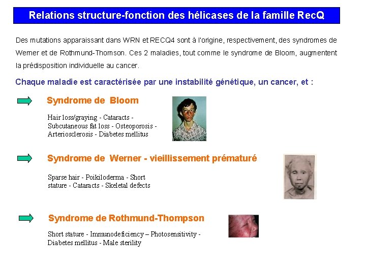 Relations structure-fonction des hélicases de la famille Rec. Q Des mutations apparaissant dans WRN