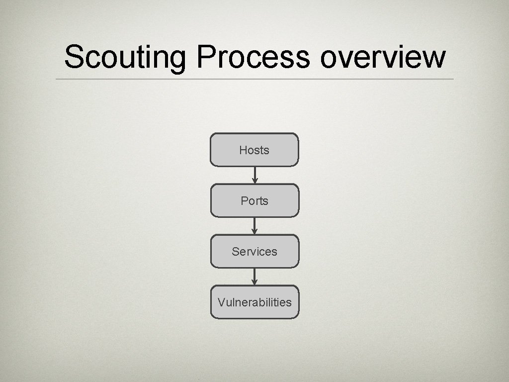Scouting Process overview Hosts Ports Services Vulnerabilities 