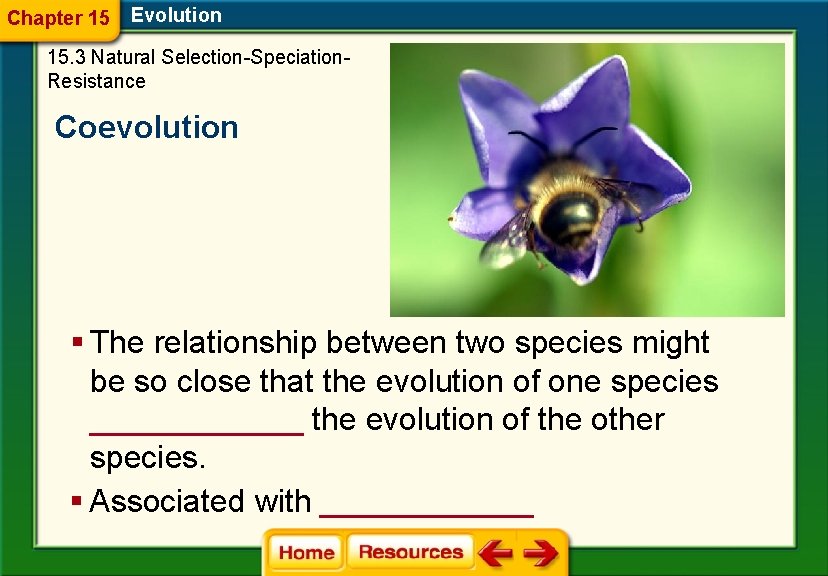 Chapter 15 Evolution 15. 3 Natural Selection-Speciation. Resistance Coevolution § The relationship between two