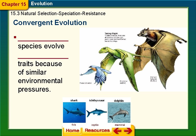 Chapter 15 Evolution 15. 3 Natural Selection-Speciation-Resistance Convergent Evolution § ______ species evolve ______