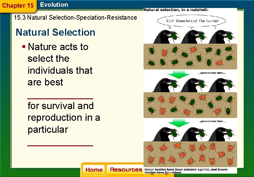 Chapter 15 Evolution 15. 3 Natural Selection-Speciation-Resistance Natural Selection § Nature acts to select