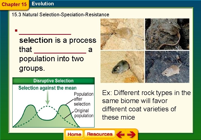 Chapter 15 Evolution 15. 3 Natural Selection-Speciation-Resistance § ______ selection is a process that