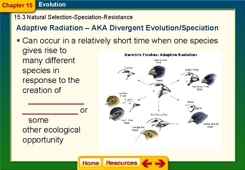 Chapter 15 Evolution 15. 3 Natural Selection-Speciation-Resistance Adaptive Radiation – AKA Divergent Evolution/Speciation §