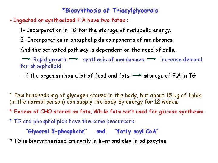 *Biosynthesis of Triacylglycerols - Ingested or synthesized F. A have two fates : 1