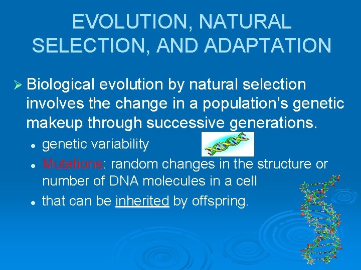 EVOLUTION, NATURAL SELECTION, AND ADAPTATION Ø Biological evolution by natural selection involves the change
