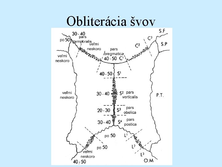 Obliterácia švov 
