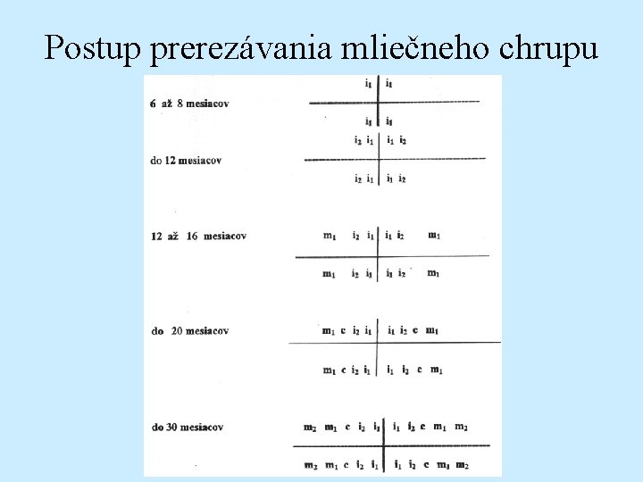 Postup prerezávania mliečneho chrupu 