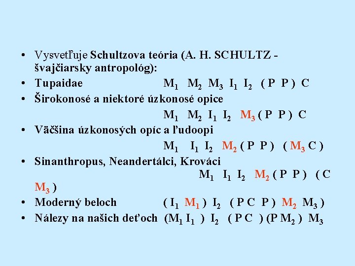 • Vysvetľuje Schultzova teória (A. H. SCHULTZ - švajčiarsky antropológ): • Tupaidae M