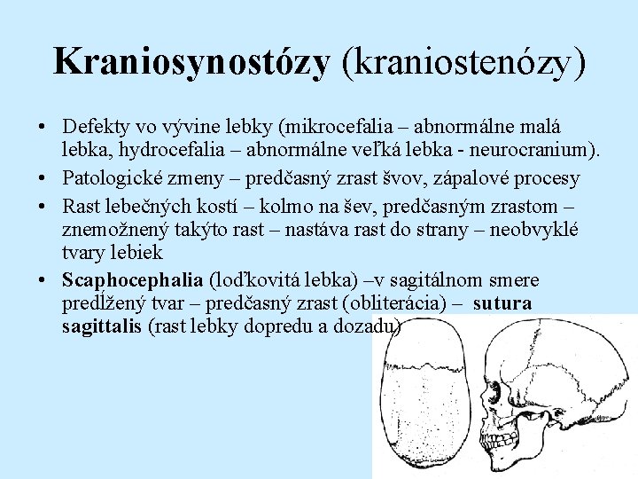 Kraniosynostózy (kraniostenózy) • Defekty vo vývine lebky (mikrocefalia – abnormálne malá lebka, hydrocefalia –
