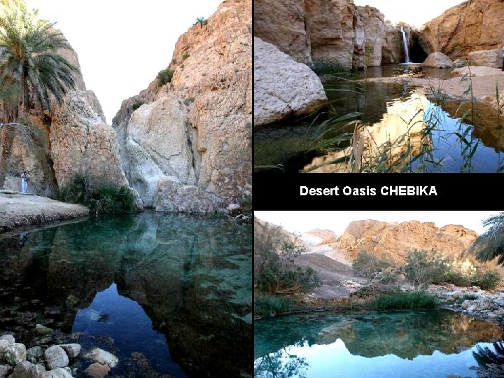 Desert Oasis CHEBIKA 