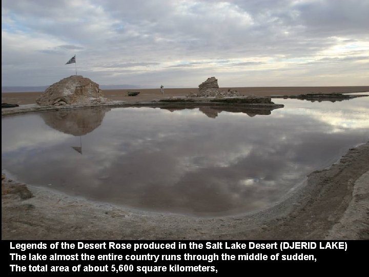 Legends of the Desert Rose produced in the Salt Lake Desert (DJERID LAKE) The