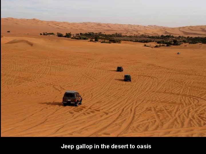 Jeep gallop in the desert to oasis 