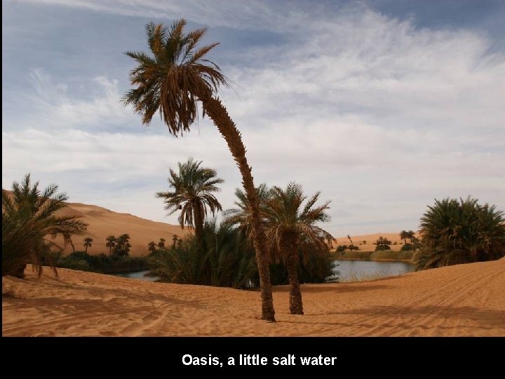 Oasis, a little salt water 