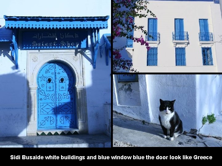 Sidi Busaide white buildings and blue window blue the door look like Greece 