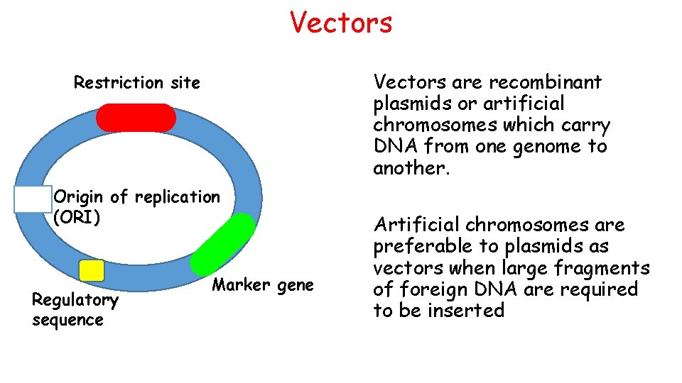 Vectors are recombinant plasmids or artificial chromosomes which carry DNA from one genome to