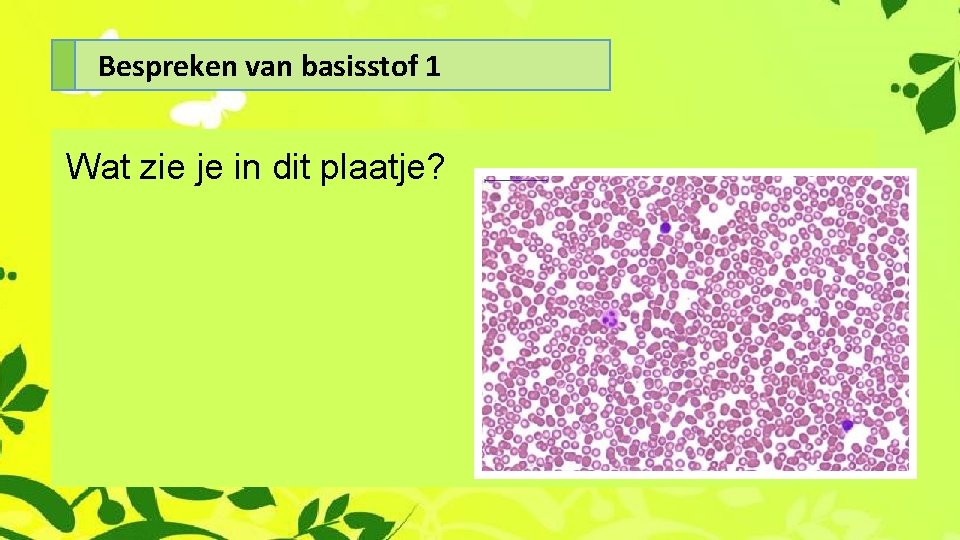 Bespreken van basisstof 1 Wat zie je in dit plaatje? 