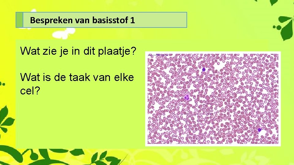 Bespreken van basisstof 1 Wat zie je in dit plaatje? Wat is de taak