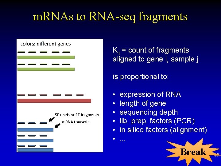 m. RNAs to RNA-seq fragments Kij = count of fragments aligned to gene i,