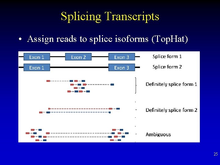 Splicing Transcripts • Assign reads to splice isoforms (Top. Hat) 25 