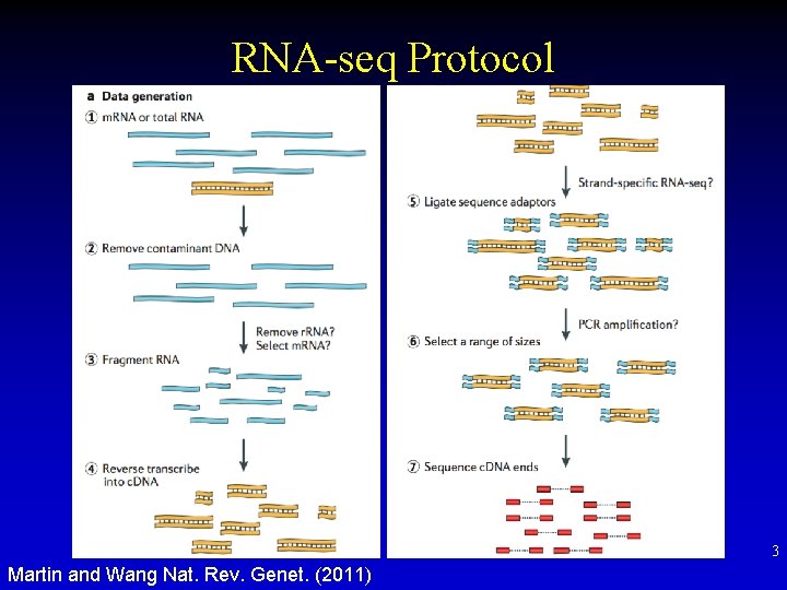 RNA-seq Protocol 3 Martin and Wang Nat. Rev. Genet. (2011) 