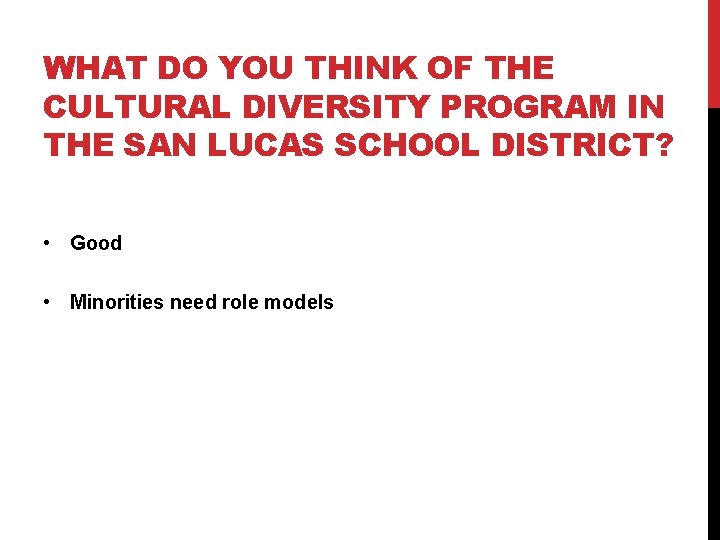 WHAT DO YOU THINK OF THE CULTURAL DIVERSITY PROGRAM IN THE SAN LUCAS SCHOOL