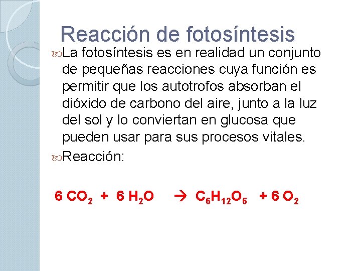 Reacción de fotosíntesis La fotosíntesis es en realidad un conjunto de pequeñas reacciones cuya