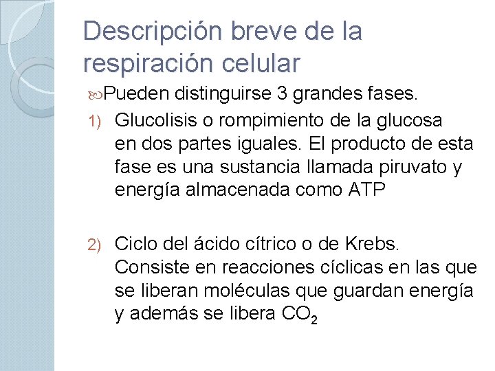 Descripción breve de la respiración celular Pueden distinguirse 3 grandes fases. 1) Glucolisis o