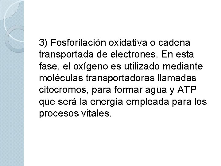 3) Fosforilación oxidativa o cadena transportada de electrones. En esta fase, el oxígeno es
