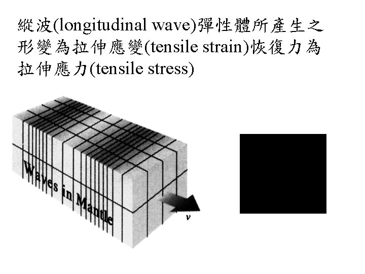 縱波(longitudinal wave)彈性體所產生之 形變為拉伸應變(tensile strain)恢復力為 拉伸應力(tensile stress) 