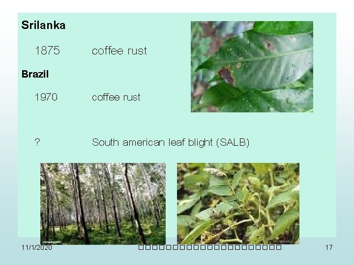 Srilanka 1875 coffee rust Brazil 1970 coffee rust ? 11/1/2020 South american leaf blight