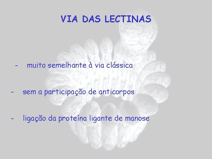 VIA DAS LECTINAS - muito semelhante à via clássica - sem a participação de