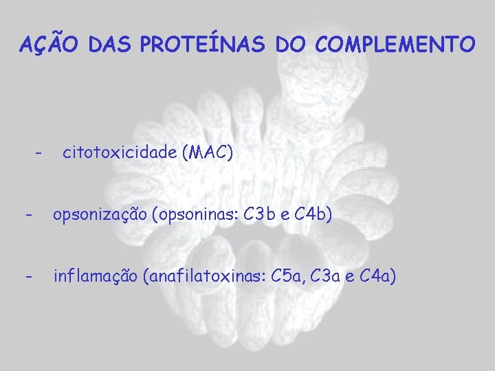 AÇÃO DAS PROTEÍNAS DO COMPLEMENTO - citotoxicidade (MAC) - opsonização (opsoninas: C 3 b