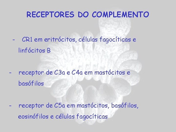 RECEPTORES DO COMPLEMENTO - CR 1 em eritrócitos, células fagocíticas e linfócitos B -