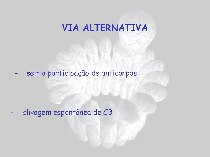 VIA ALTERNATIVA - - sem a participação de anticorpos clivagem espontânea de C 3