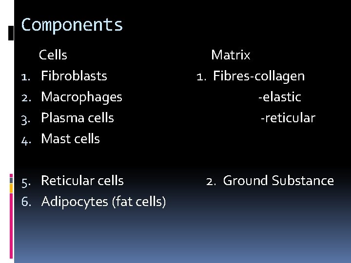 Components 1. 2. 3. 4. Cells Fibroblasts Macrophages Plasma cells Mast cells 5. Reticular