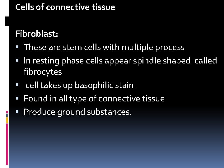 Cells of connective tissue Fibroblast: These are stem cells with multiple process In resting Cells of connective tissue Fibroblast: These are stem cells with multiple process In resting