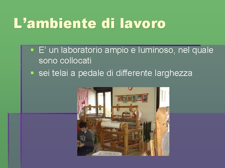 L’ambiente di lavoro § E’ un laboratorio ampio e luminoso, nel quale sono collocati