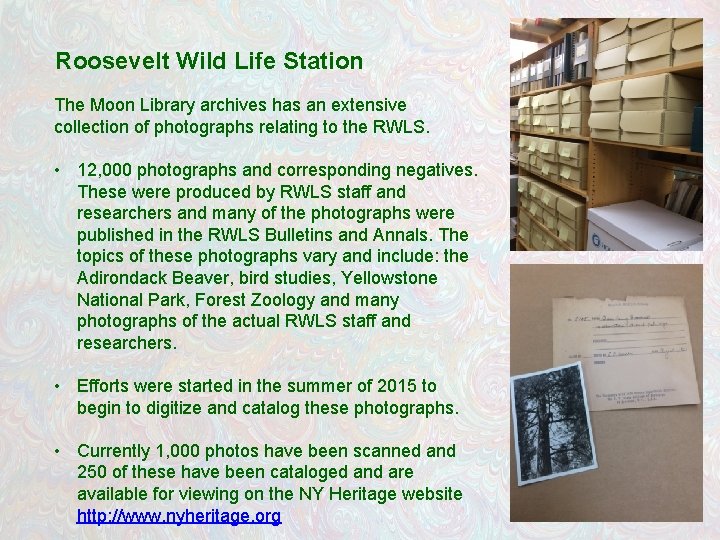 Roosevelt Wild Life Station The Moon Library archives has an extensive collection of photographs