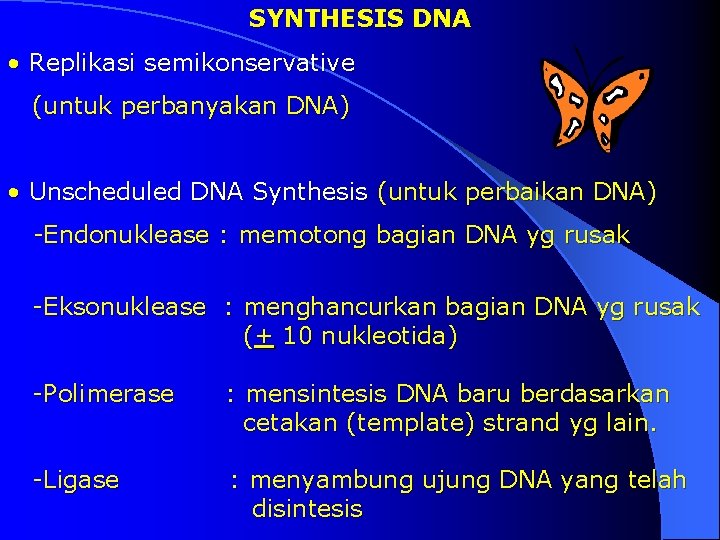 SYNTHESIS DNA • Replikasi semikonservative (untuk perbanyakan DNA) • Unscheduled DNA Synthesis (untuk perbaikan