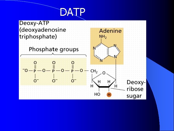 DATP 