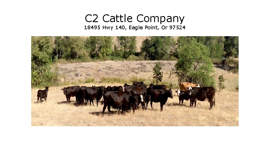 C 2 Cattle Company 18495 Hwy 140, Eagle Point, Or 97524 