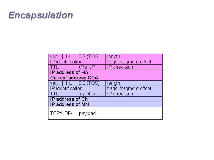 Encapsulation ver. IHL DS (TOS) IP identification TTL IP-in-IP IP address of HA Care-of