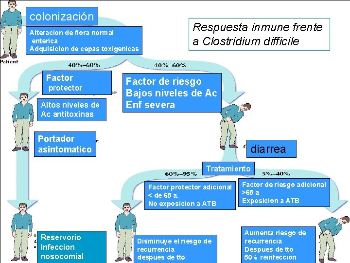 colonización Alteracion de flora normal enterica Adquisicion de cepas toxigenicas Factor protector Altos niveles