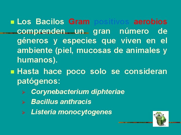 n n Los Bacilos Gram positivos aerobios comprenden un gran número de géneros y