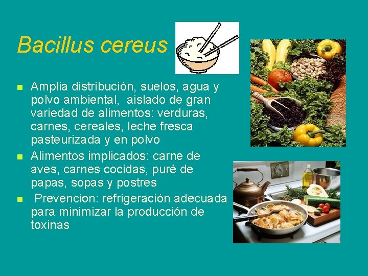 Bacillus cereus n n n Amplia distribución, suelos, agua y polvo ambiental, aislado de