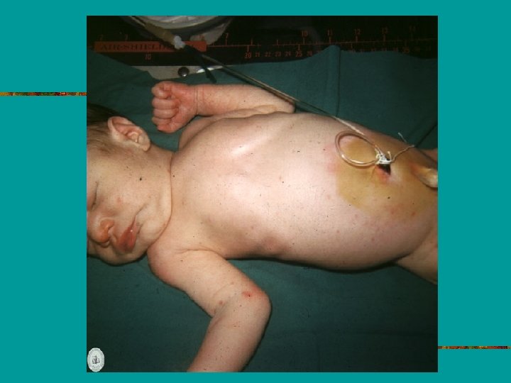 FUNDACION BARCELO FACULTAD DE MEDICINA 