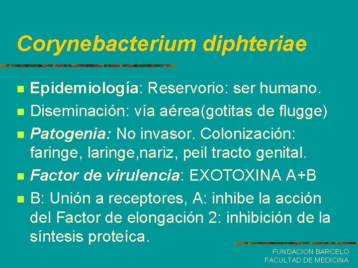 Corynebacterium diphteriae n n n Epidemiología: Reservorio: ser humano. Diseminación: vía aérea(gotitas de flugge)