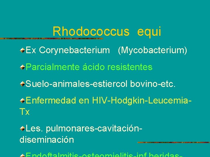 Rhodococcus equi Ex Corynebacterium (Mycobacterium) Parcialmente ácido resistentes Suelo-animales-estiercol bovino-etc. Enfermedad en HIV-Hodgkin-Leucemia. Tx